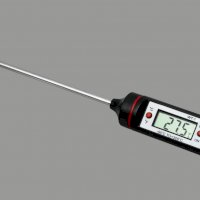 Термометр автономный цифровой WT-1